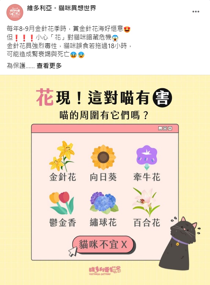 Facebook 社群貼文範例